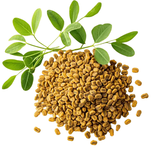 Imagem da composição 2